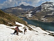 32 In ripida discesa su neve al sole....molliccia